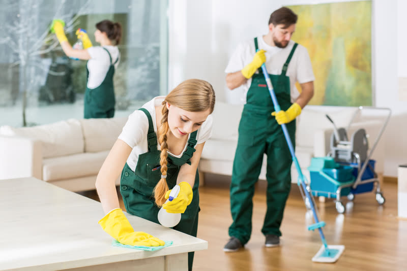 Cleaning team providing service